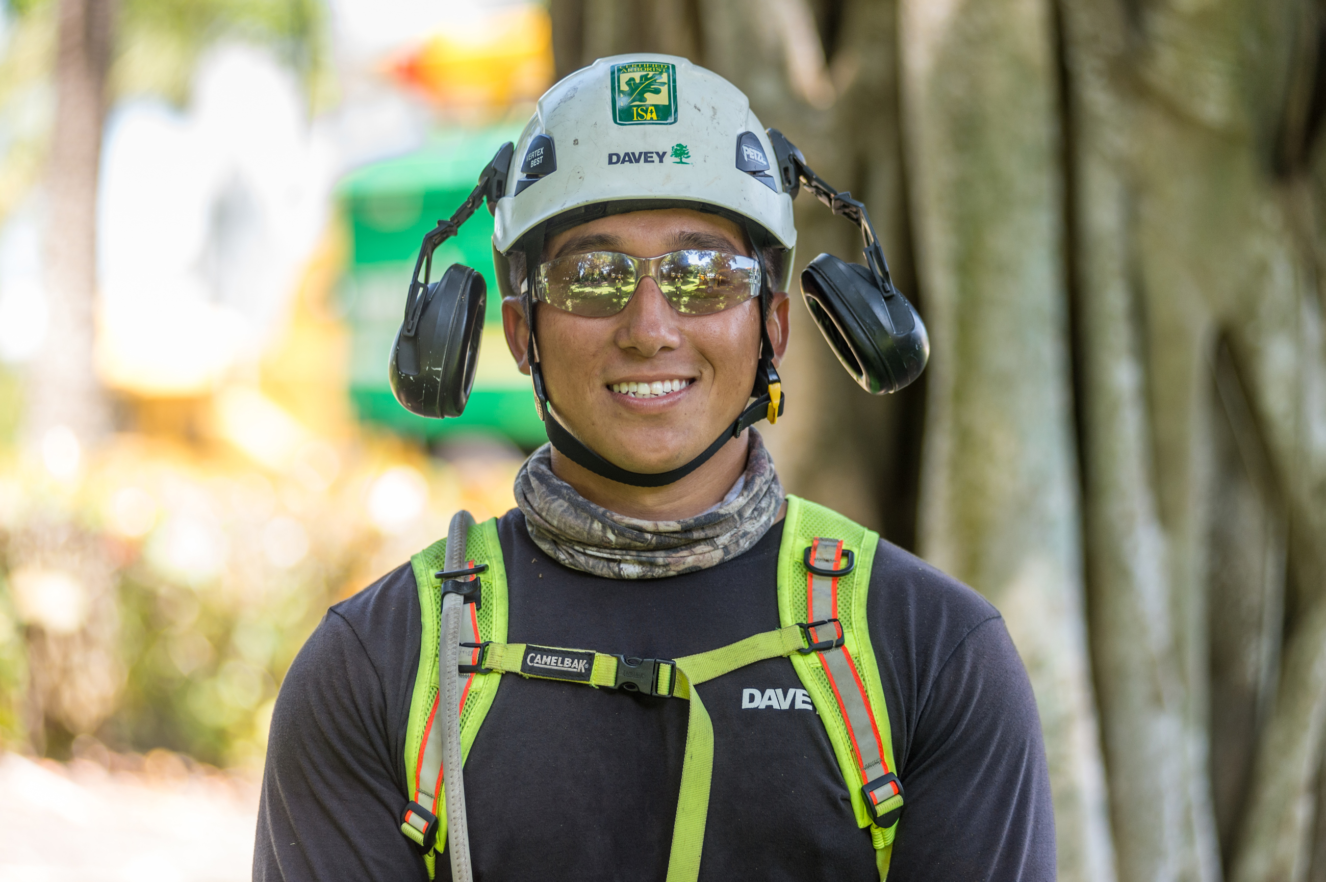Certified Arborist Tree Care