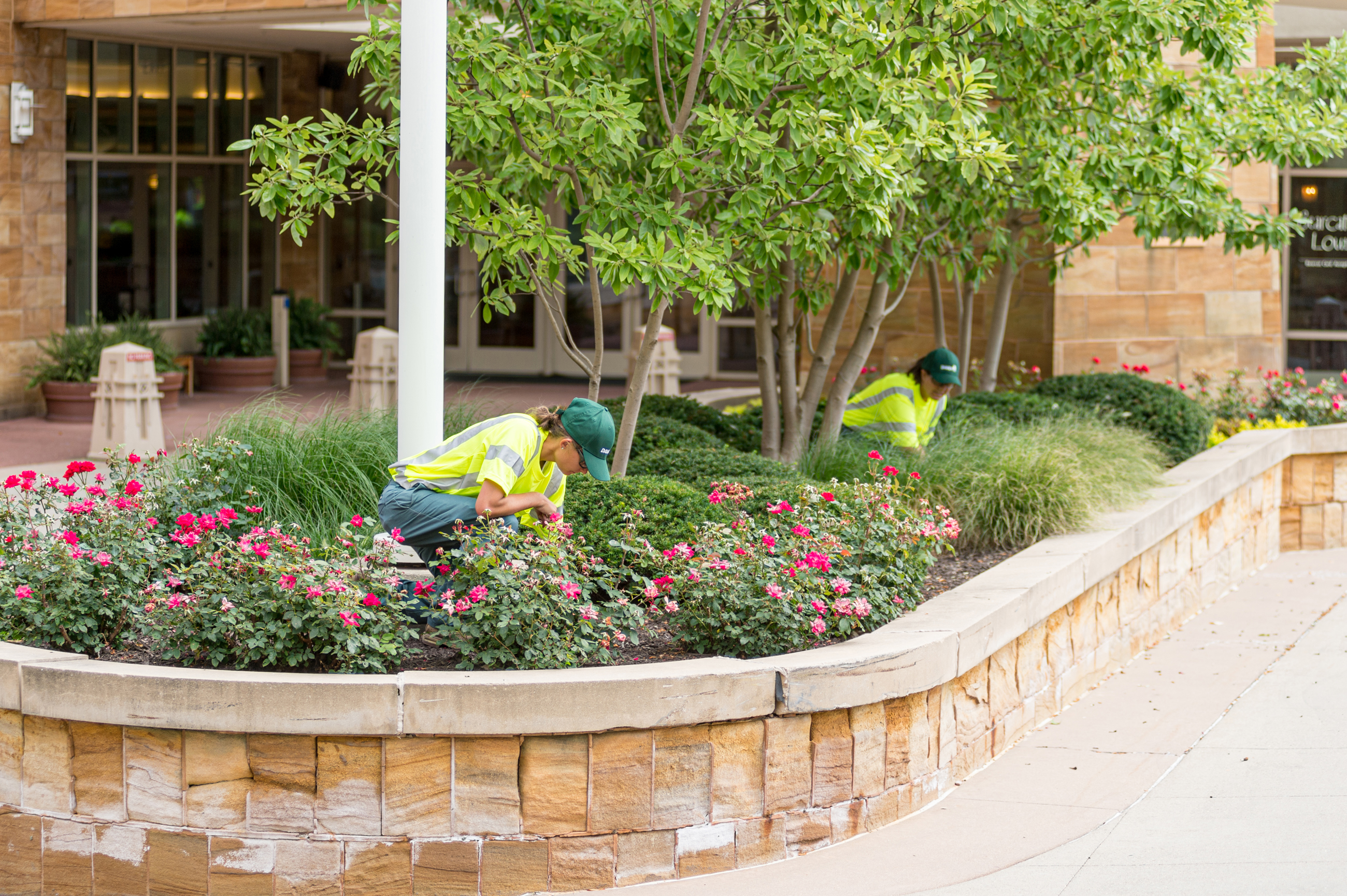 Hospitality Landscaping Services