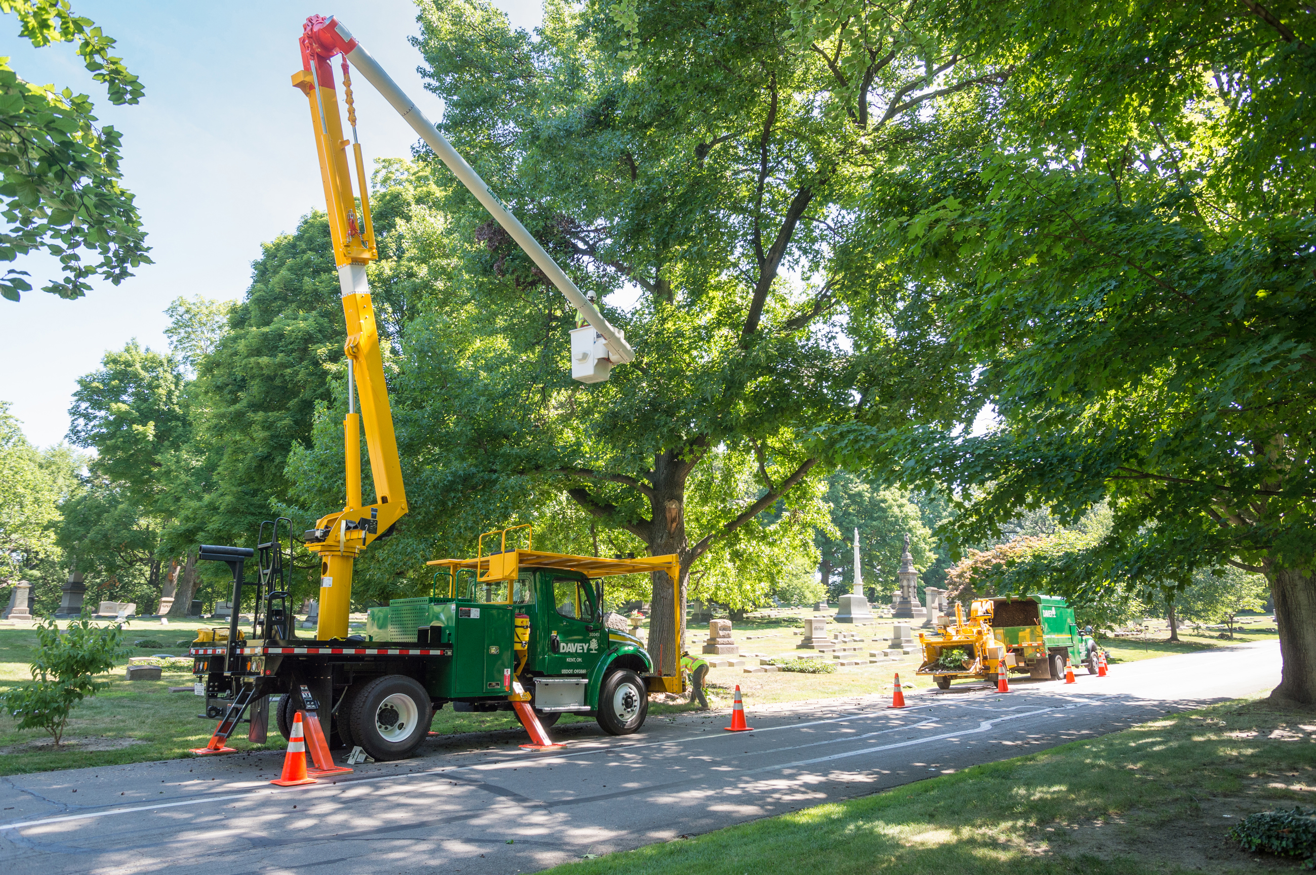 Tree Pruning Equipment