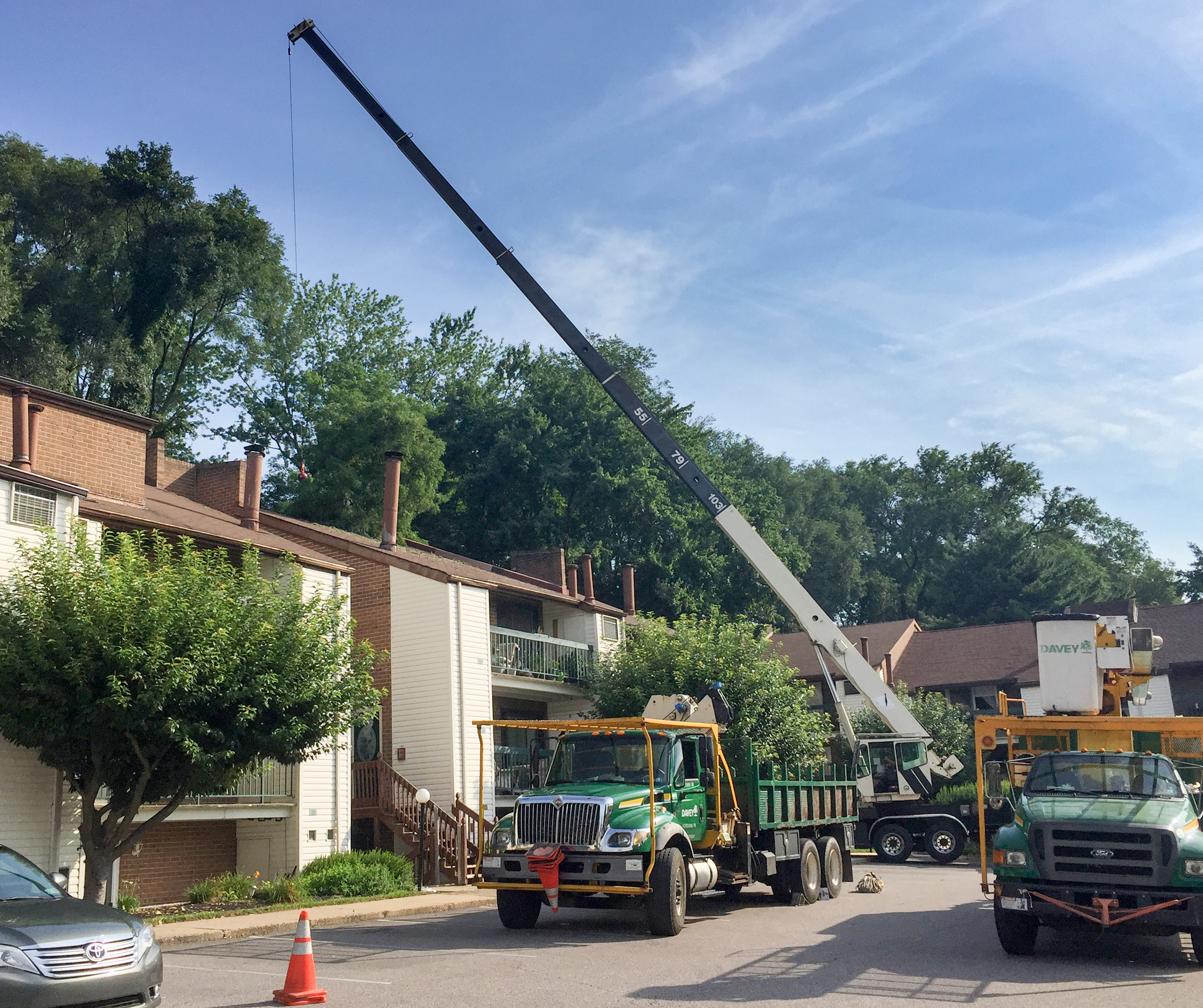 Tree Storm Prep