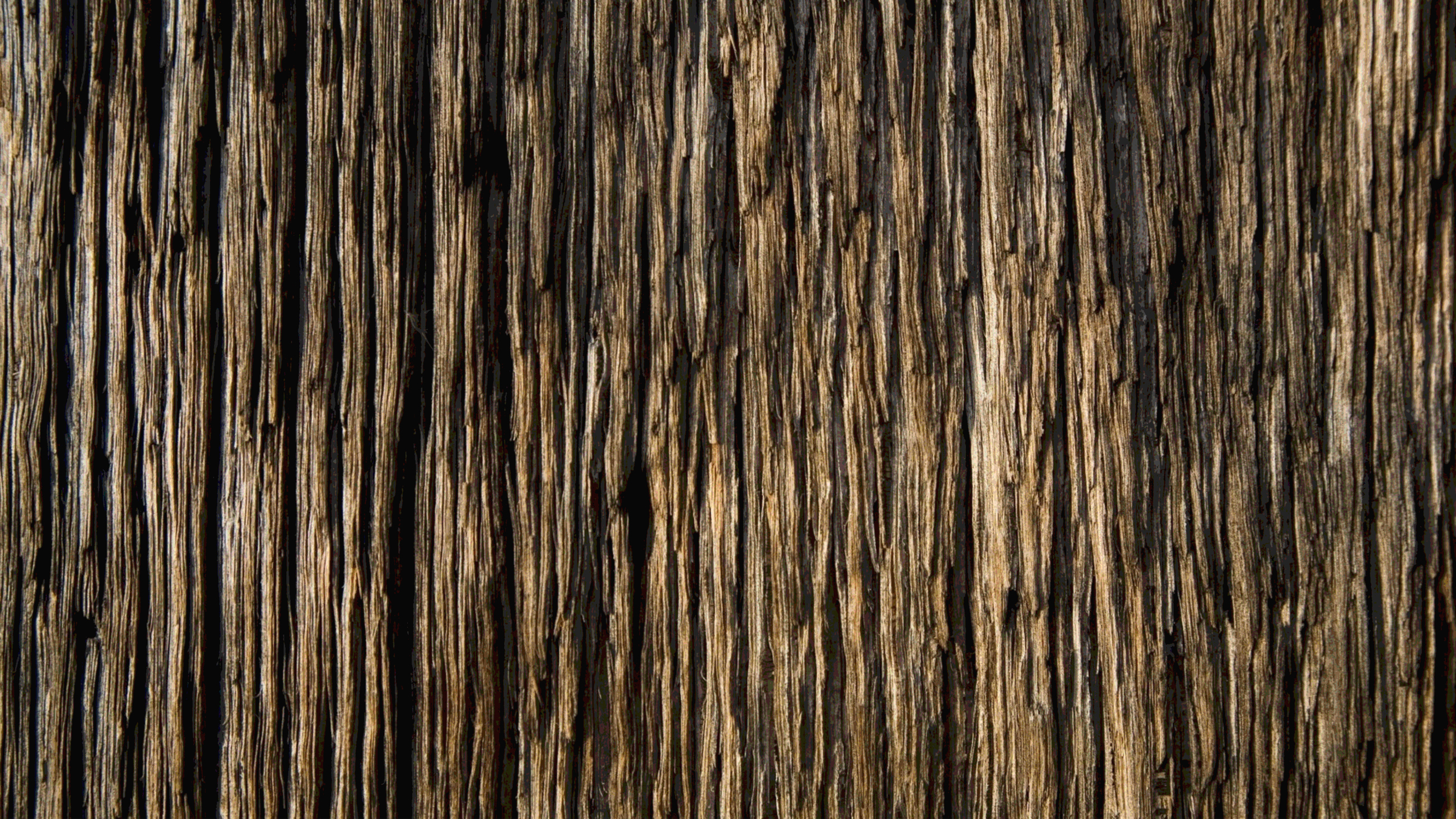 Woodgrain
